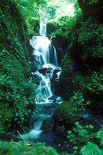 Sample Web Page Image - Waterfall in Summer
